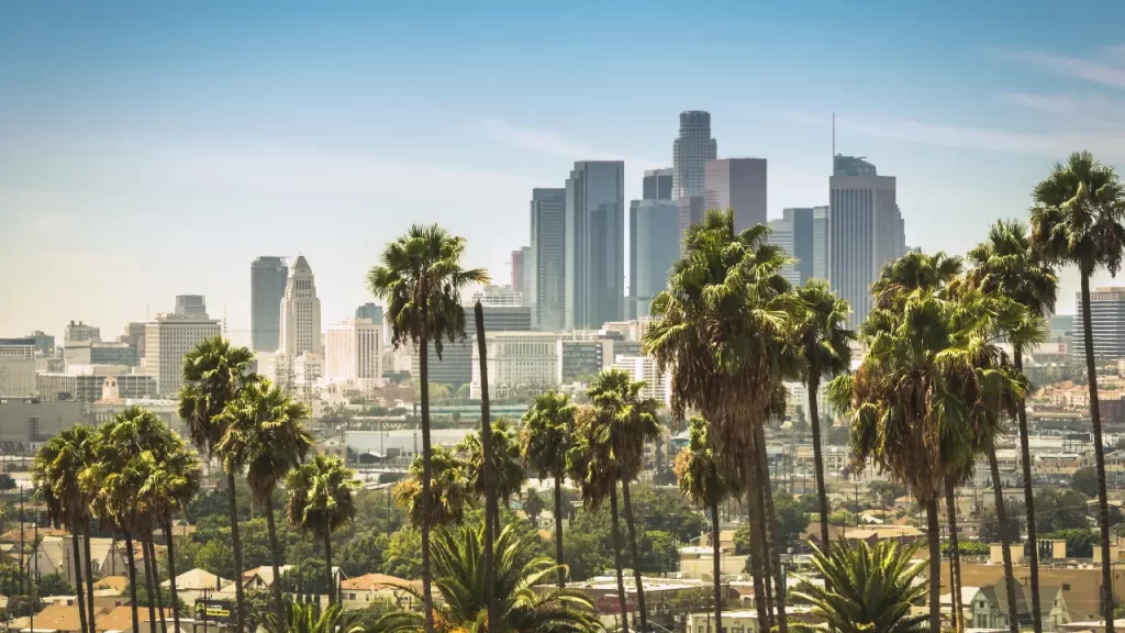 LA view.