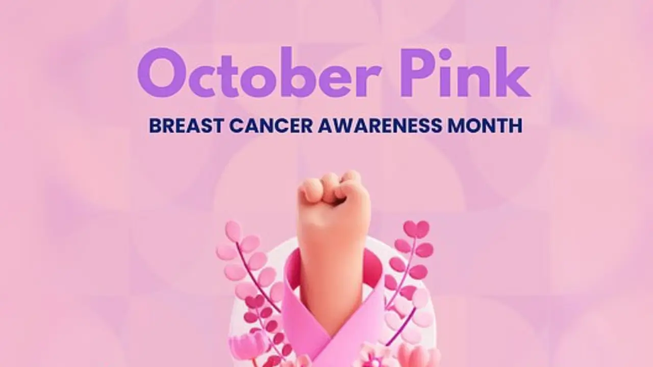 Pink october folder.